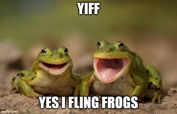 two happy frogs  | YIFF; YES I FLING FROGS | image tagged in two happy frogs | made w/ Imgflip meme maker
