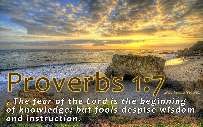 Bible Verse of the Day | image tagged in christiansonly,god,jesus christ | made w/ Imgflip meme maker
