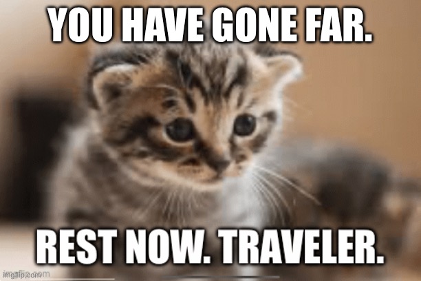 YOU HAVE GONE FAR. | made w/ Imgflip meme maker