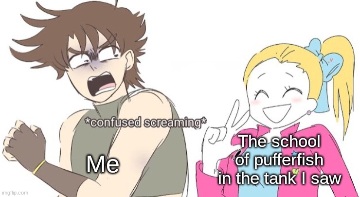Sorry, I have a deep fear of them. | The school of pufferfish in the tank I saw; Me | image tagged in jojo confused screaming | made w/ Imgflip meme maker