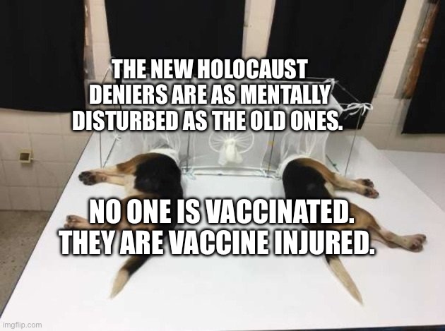 Anthony Fauci Loves Dogs and People | THE NEW HOLOCAUST DENIERS ARE AS MENTALLY DISTURBED AS THE OLD ONES. NO ONE IS VACCINATED. THEY ARE VACCINE INJURED. | image tagged in anthony fauci loves dogs and people | made w/ Imgflip meme maker
