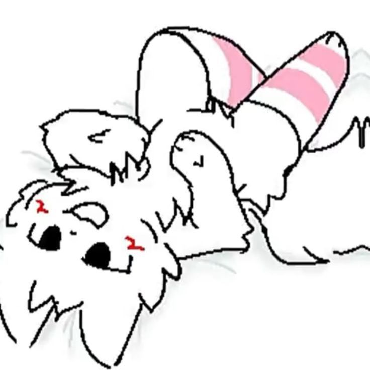 Meow Blank Meme Template