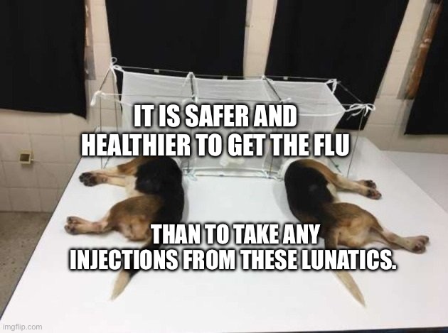 Anthony Fauci Loves Dogs and People | IT IS SAFER AND HEALTHIER TO GET THE FLU; THAN TO TAKE ANY INJECTIONS FROM THESE LUNATICS. | image tagged in anthony fauci loves dogs and people | made w/ Imgflip meme maker