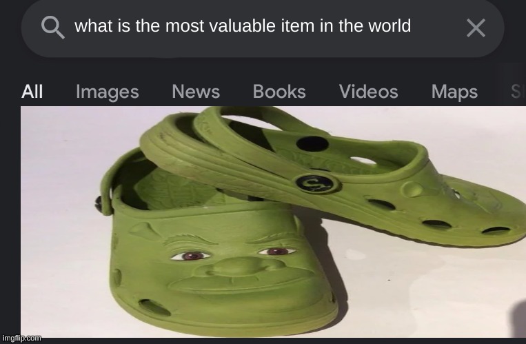 Shrek sandals. | what is the most valuable item in the world | image tagged in fake search,shrek,funny,google search | made w/ Imgflip meme maker