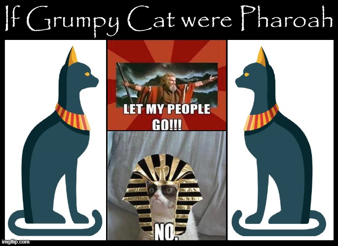 Bastet, Cat God of Egypt, Salutes Grumpy Cat | image tagged in vince vance,funny cat memes,grumpy cat,cats,gods of egypt,ancient egypt | made w/ Imgflip meme maker