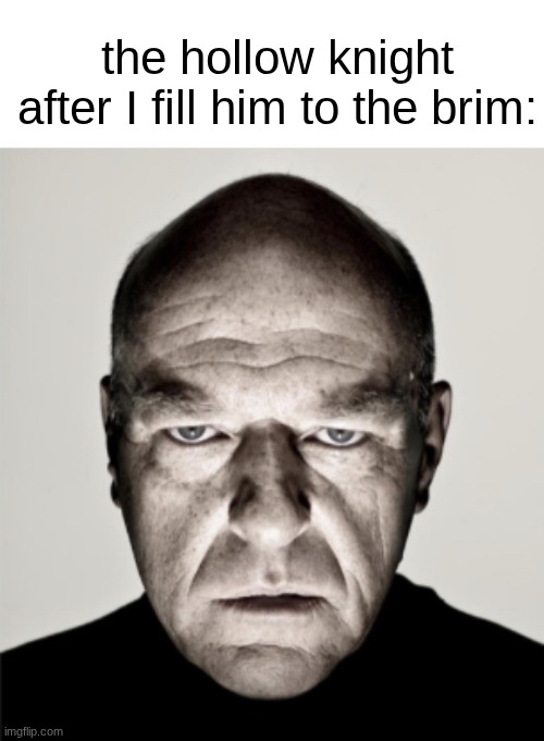 s | the hollow knight after I fill him to the brim: | image tagged in dean norris mad | made w/ Imgflip meme maker