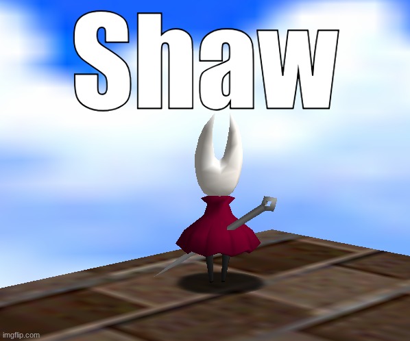 The hornet in sm64 | Shaw | image tagged in the hornet in sm64 | made w/ Imgflip meme maker