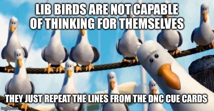 Nemo Birds | LIB BIRDS ARE NOT CAPABLE OF THINKING FOR THEMSELVES; THEY JUST REPEAT THE LINES FROM THE DNC CUE CARDS | image tagged in nemo birds | made w/ Imgflip meme maker