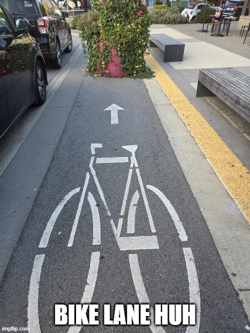 Bike Lane | BIKE LANE HUH | image tagged in you had one job | made w/ Imgflip meme maker