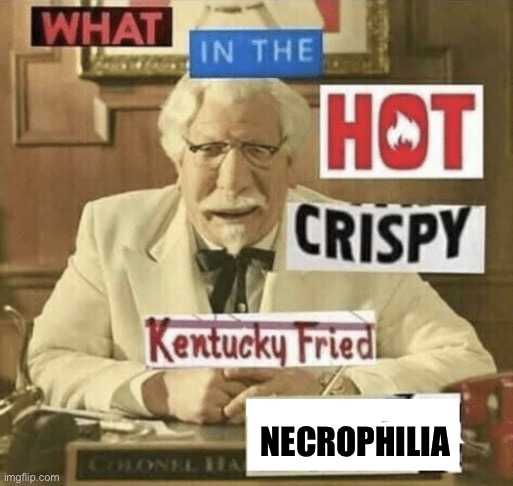 what in the hot crispy kentucky fried frick | NECROPHILIA | image tagged in what in the hot crispy kentucky fried frick | made w/ Imgflip meme maker