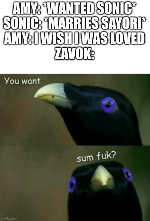 you want some fuk? | AMY: *WANTED SONIC*
SONIC: *MARRIES SAYORI*
AMY: I WISH I WAS LOVED
ZAVOK: | image tagged in you want some fuk | made w/ Imgflip meme maker