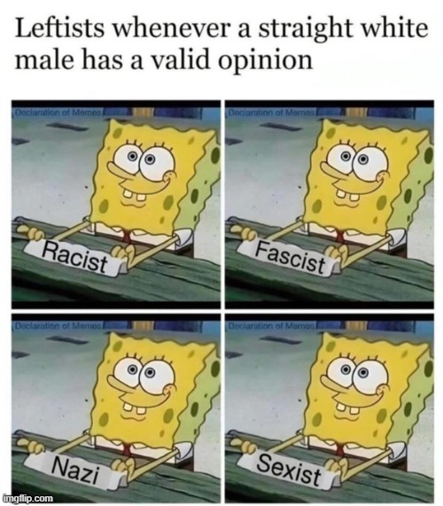 Or, homophobe, transphobe, misogynist, ETC. | image tagged in leftists,liberals,democrats,labels,haters gonna hate | made w/ Imgflip meme maker
