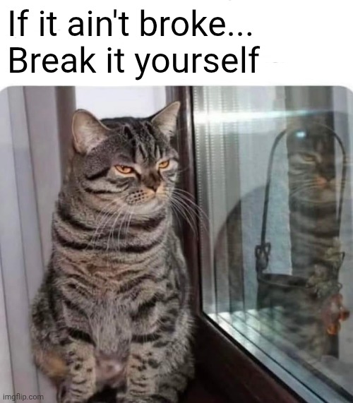 ... | If it ain't broke...
Break it yourself | image tagged in if it ain't broke break it yourself,cats | made w/ Imgflip meme maker
