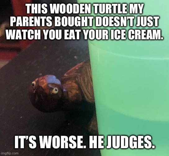 Judgey Wooden Turtle | THIS WOODEN TURTLE MY PARENTS BOUGHT DOESN’T JUST WATCH YOU EAT YOUR ICE CREAM. IT’S WORSE. HE JUDGES. | image tagged in turtle,judgemental | made w/ Imgflip meme maker