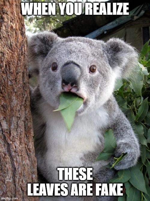 i was given this image so i captioned it lmao | WHEN YOU REALIZE; THESE LEAVES ARE FAKE | image tagged in memes,surprised koala | made w/ Imgflip meme maker