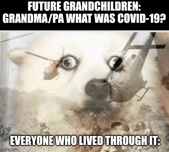PTSD dog | FUTURE GRANDCHILDREN: GRANDMA/PA WHAT WAS COVID-19? EVERYONE WHO LIVED THROUGH IT: | image tagged in ptsd dog,covid-19 | made w/ Imgflip meme maker