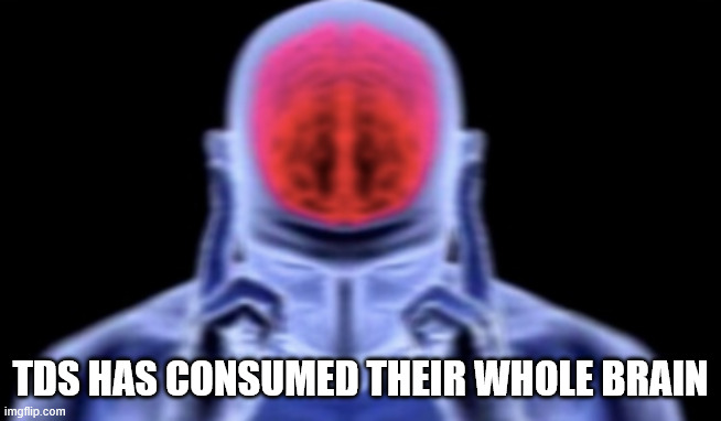 TDS HAS CONSUMED THEIR WHOLE BRAIN | image tagged in brain damage | made w/ Imgflip meme maker