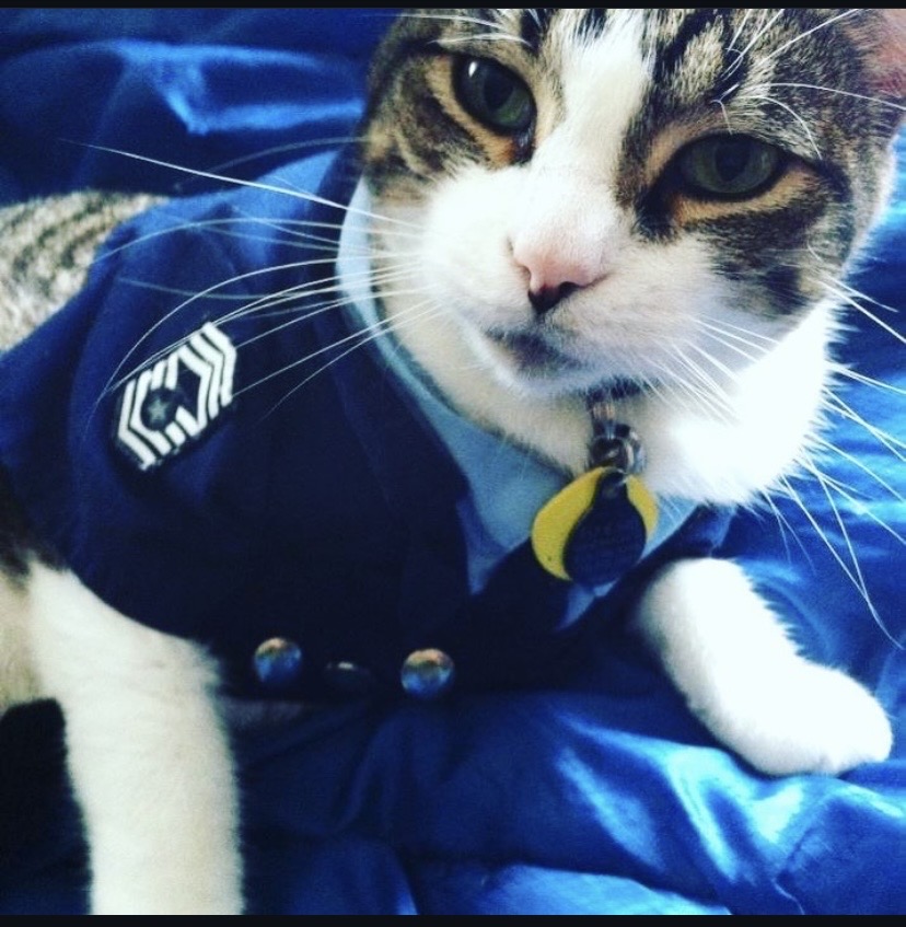 Suited up Blank Meme Template