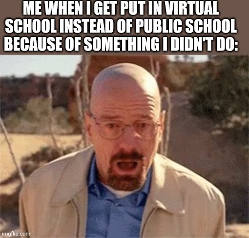 Walter White | ME WHEN I GET PUT IN VIRTUAL SCHOOL INSTEAD OF PUBLIC SCHOOL BECAUSE OF SOMETHING I DIDN'T DO: | image tagged in walter white | made w/ Imgflip meme maker