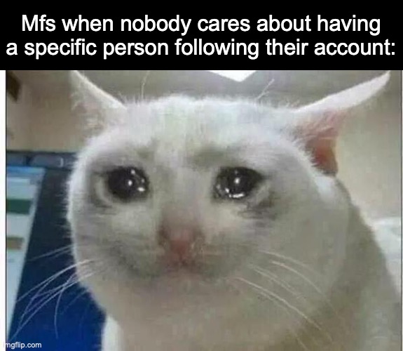 crying cat | Mfs when nobody cares about having a specific person following their account: | image tagged in crying cat | made w/ Imgflip meme maker