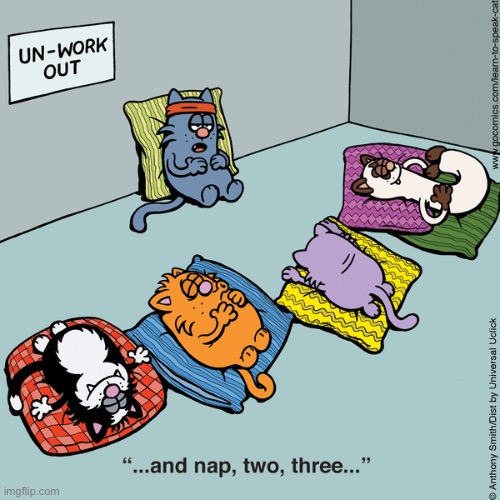 Learn to Speak Cat | image tagged in cats,learn to speak cat,comics,un work out,naps | made w/ Imgflip meme maker