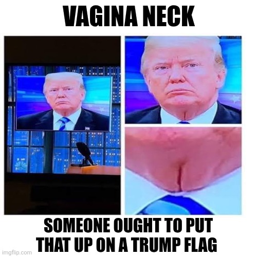 Blank Transparent Square Meme | VAGINA NECK SOMEONE OUGHT TO PUT THAT UP ON A TRUMP FLAG | image tagged in memes,blank transparent square | made w/ Imgflip meme maker
