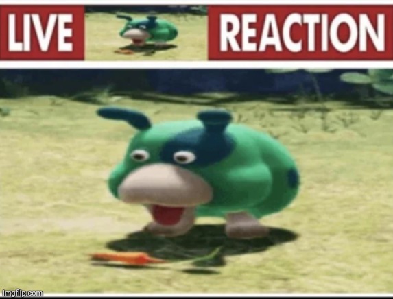 Love this thing fr | image tagged in live moss reaction | made w/ Imgflip meme maker