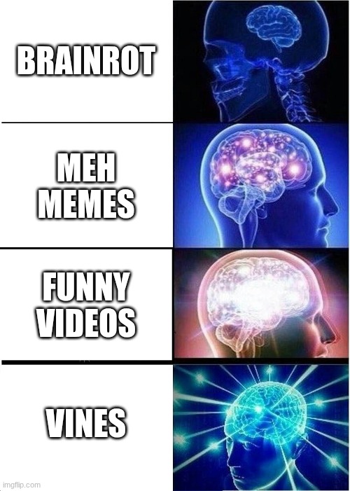 Expanding Brain | BRAINROT; MEH MEMES; FUNNY VIDEOS; VINES | image tagged in memes,expanding brain | made w/ Imgflip meme maker