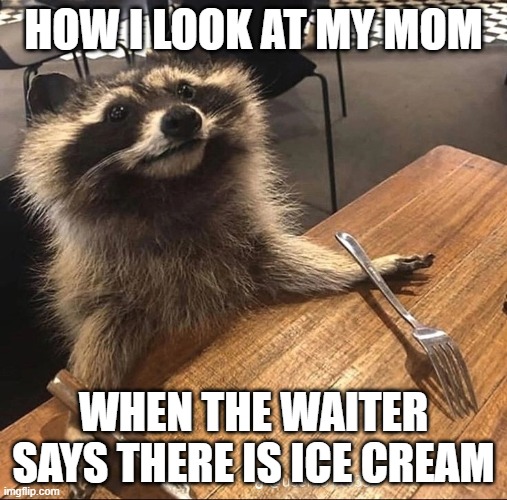 Pweeez | HOW I LOOK AT MY MOM; WHEN THE WAITER SAYS THERE IS ICE CREAM | image tagged in hungry racoon | made w/ Imgflip meme maker