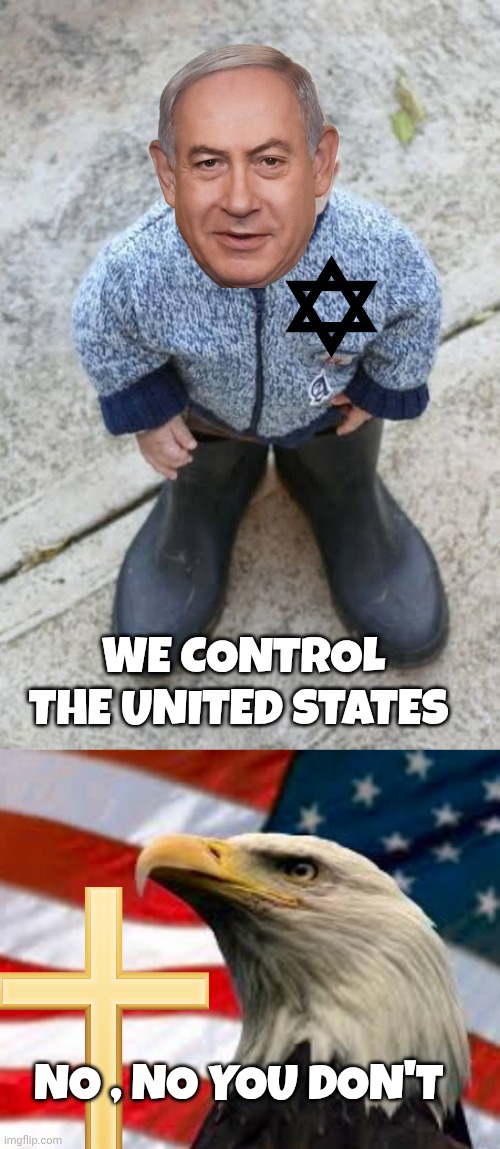 israel meme | WE CONTROL THE UNITED STATES; NO , NO YOU DON'T | image tagged in murica patriotic eagle | made w/ Imgflip meme maker