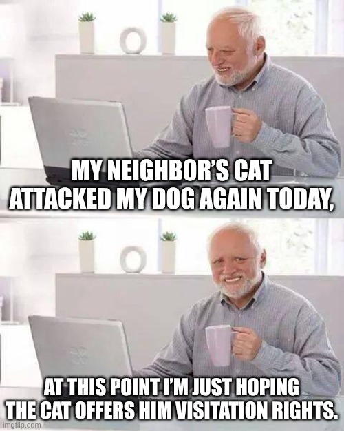 Hide the Pain Harold Meme | MY NEIGHBOR’S CAT ATTACKED MY DOG AGAIN TODAY, AT THIS POINT I’M JUST HOPING THE CAT OFFERS HIM VISITATION RIGHTS. | image tagged in memes,hide the pain harold | made w/ Imgflip meme maker