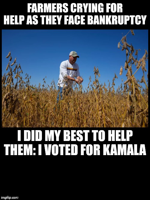 You think they'd have learned during his last administration. Maybe they sell bootstraps at Dollar Tree. | FARMERS CRYING FOR HELP AS THEY FACE BANKRUPTCY; I DID MY BEST TO HELP THEM: I VOTED FOR KAMALA | image tagged in double long black template,soybean farmers | made w/ Imgflip meme maker