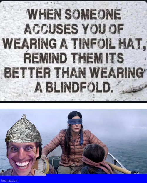 The tin foil hat is better than the blindfold | image tagged in bird box,blue square,sheeple | made w/ Imgflip meme maker