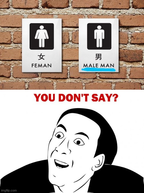 male man | image tagged in memes,you don't say | made w/ Imgflip meme maker