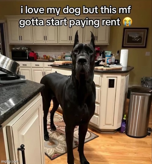 clifford had a goth phase | made w/ Imgflip meme maker