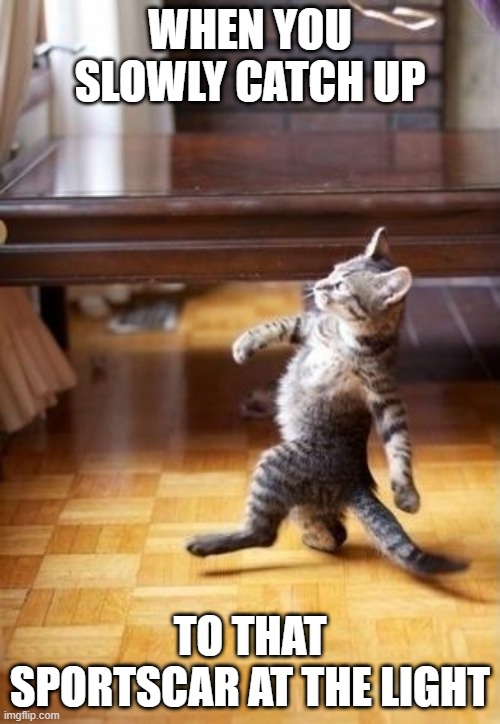 day4: first template i see meme | WHEN YOU SLOWLY CATCH UP; TO THAT SPORTSCAR AT THE LIGHT | image tagged in memes,cool cat stroll | made w/ Imgflip meme maker