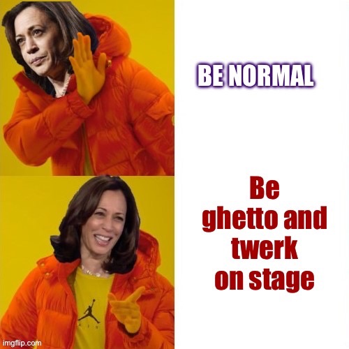image tagged in drake hotline bling,memes,kamala harris | made w/ Imgflip meme maker