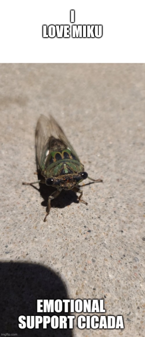 emotional suppory cicada | I LOVE MIKU | image tagged in emotional suppory cicada | made w/ Imgflip meme maker