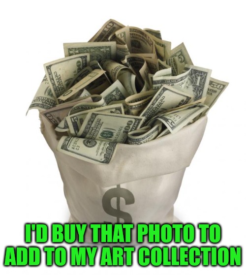 Bag of money | I'D BUY THAT PHOTO TO ADD TO MY ART COLLECTION | image tagged in bag of money | made w/ Imgflip meme maker