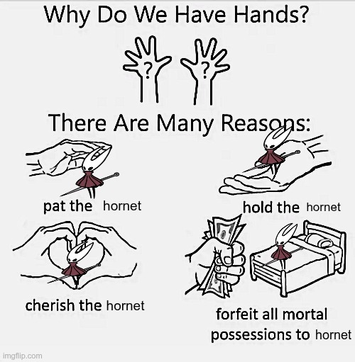 why do we have hands? well, PET THE HORNET. <3 | hornet; hornet; hornet; hornet | image tagged in why do we have hands all blank | made w/ Imgflip meme maker
