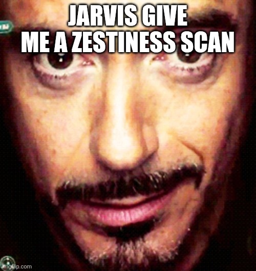 Jarvis | JARVIS GIVE ME A ZESTINESS SCAN | image tagged in tony stark repost,okay | made w/ Imgflip meme maker