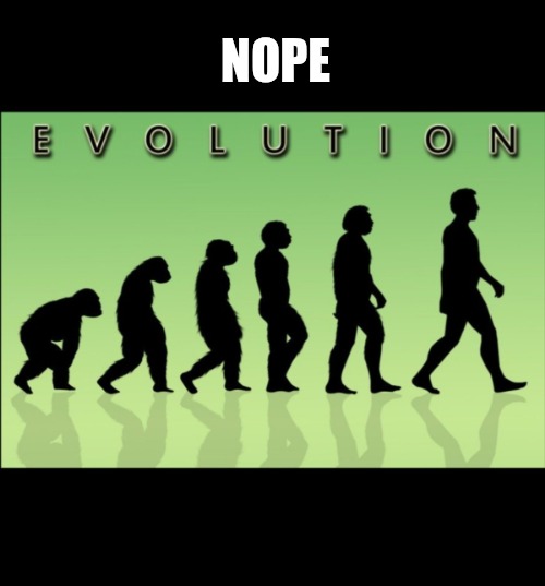 Evolution | NOPE | image tagged in evolution | made w/ Imgflip meme maker