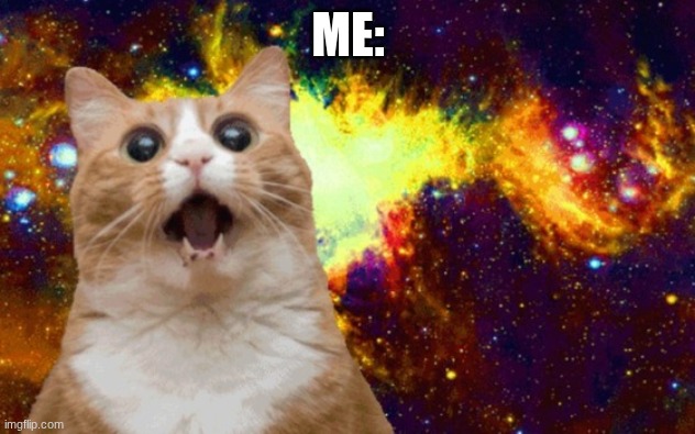 Mind Blown cat | ME: | image tagged in mind blown cat | made w/ Imgflip meme maker