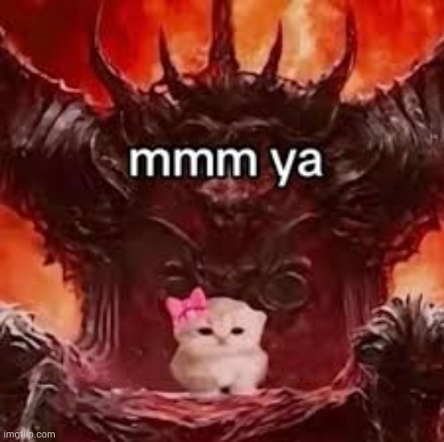 image tagged in cats | made w/ Imgflip meme maker