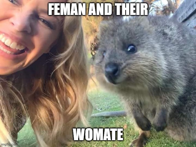 Kylie wombat | FEMAN AND THEIR WOMATE | image tagged in kylie wombat | made w/ Imgflip meme maker