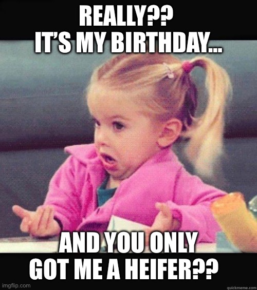 Birthday heifer | REALLY??  IT’S MY BIRTHDAY…; AND YOU ONLY GOT ME A HEIFER?? | image tagged in i dont know girl | made w/ Imgflip meme maker