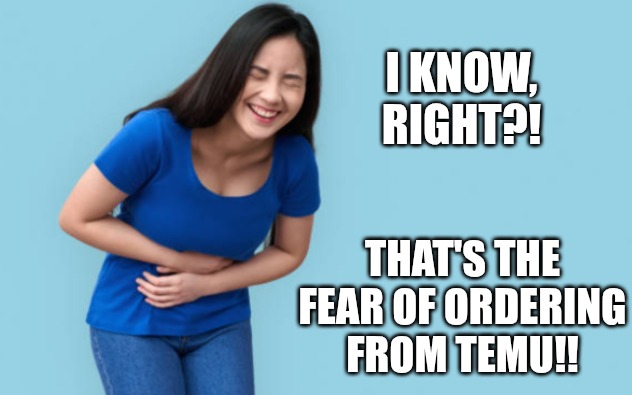 Belly laugh | I KNOW, RIGHT?! THAT'S THE FEAR OF ORDERING FROM TEMU!! | image tagged in belly laugh | made w/ Imgflip meme maker