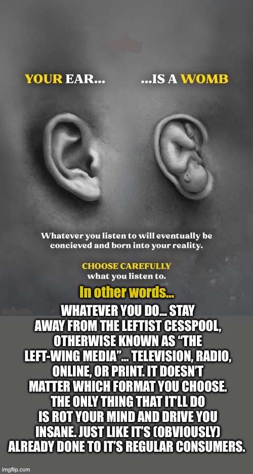 Regular left-wing media consumption is hazardous to your health… mental and physical | In other words… | image tagged in political meme,left wing media,choose carefully,stay away,disinformation,propaganda | made w/ Imgflip meme maker