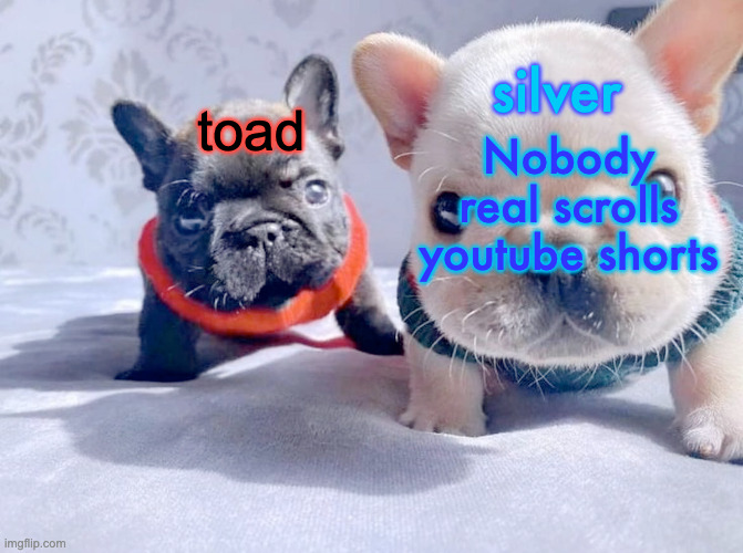 Prove me wrong | Nobody real scrolls youtube shorts | image tagged in silver and toad's announcement temp | made w/ Imgflip meme maker