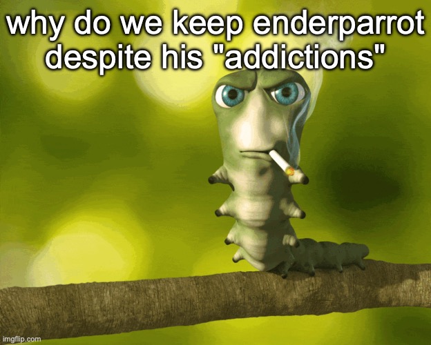 Krater | why do we keep enderparrot despite his "addictions" | image tagged in krater | made w/ Imgflip meme maker